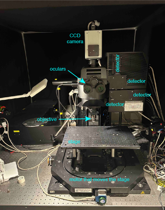 Main parts of a two-photon microscope