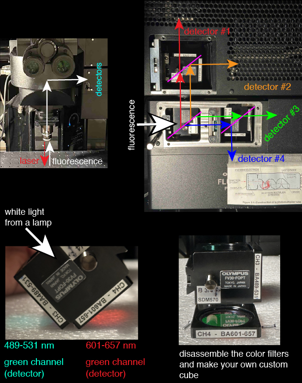 Multi-color imaging